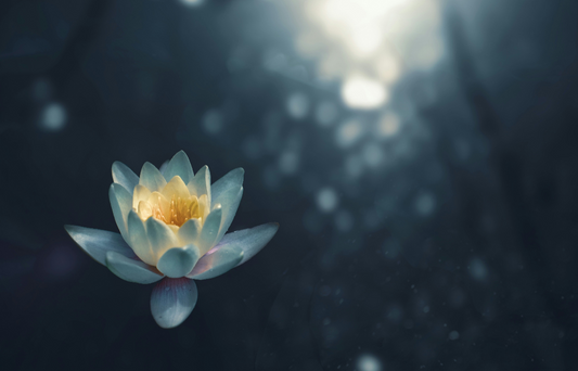 Mind Body Healing Hypnotherapy Program